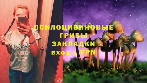 МДПВ Алзамай