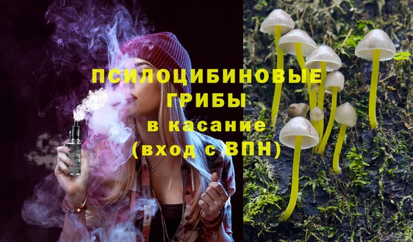 МДПВ Алзамай