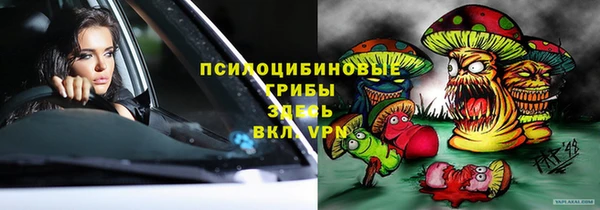 МДПВ Алзамай